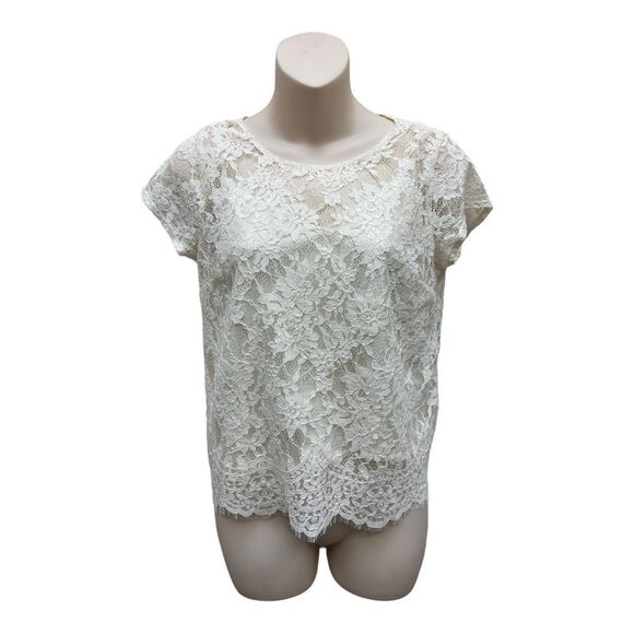 NWT Abercrombie & Fitch Cream Lace Blouse Sz XS Feminine Sheer Layered Tie Back - Picture 1 of 7